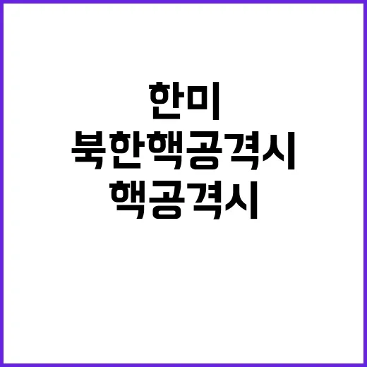 북한 핵 공격 시 한미동맹 즉각 반격 가능성!