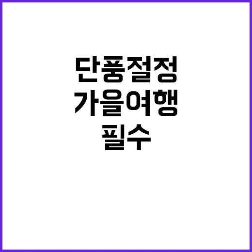 단풍 절정 맑고 온화한 주말 가을 여행 필수!