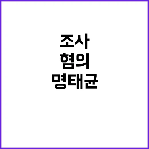 학폭 진상 규명 서현역 촛불집회에서 만나다!