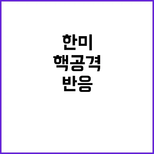 북 핵공격 한미동맹의 즉각적 반응은?