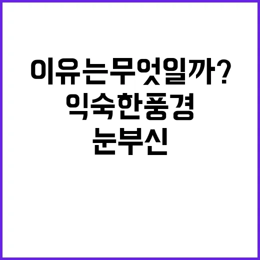 익숙한 풍경 눈부신 이유는 무엇일까?