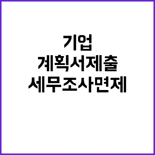 세무조사 면제 기업 투자 계획서 제출 필요!