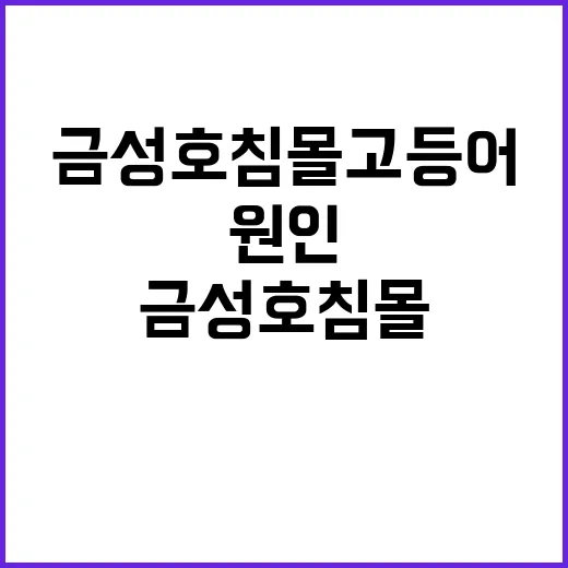 금성호 침몰 고등어가 원인? 충격 사건 재조명!