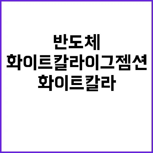 반도체법 발의 보조금 근거와 화이트칼라 이그젬션!