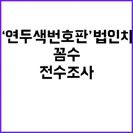 ‘연두색 번호판’ 법인차 전수조사 꼼수 밝혀졌다!