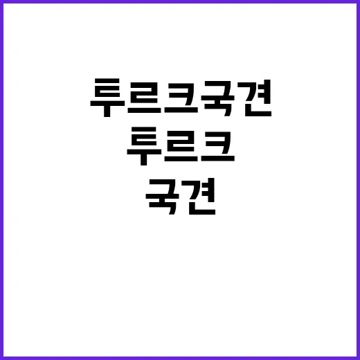 한동훈 강약약강 아이콘으로 떠오르다! 클릭 필수!