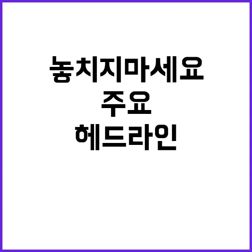 헤드라인 오늘 발생한 주요 사건들 놓치지 마세요!