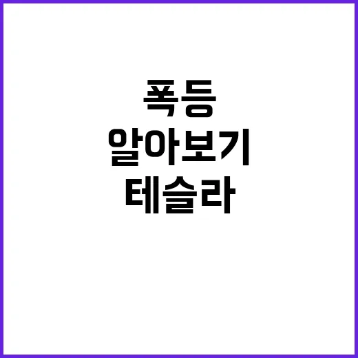 테슬라 40% 폭등 비밀 알아보기!