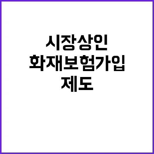 화재보험 가입 시장…