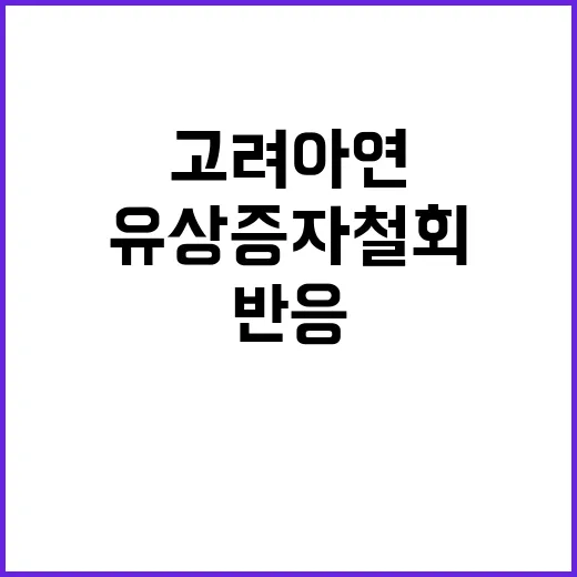 유상증자 철회! 고려아연의 결단과 주주 반응은?