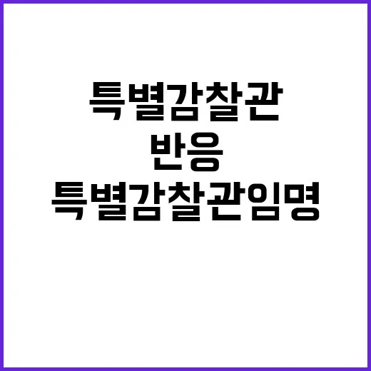 특별감찰관 임명 국민 반응에 충격과 경악!