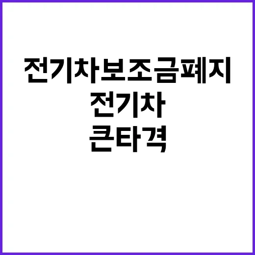 전기차 보조금 폐지 한국 경제 큰 타격!