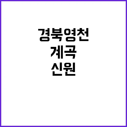 백골 시신 발견 경북 영천 계곡서 신원 확인 중