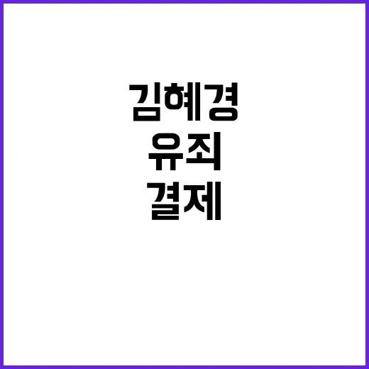 각자 결제 유죄 판단 김혜경 주장 배척 이유는?