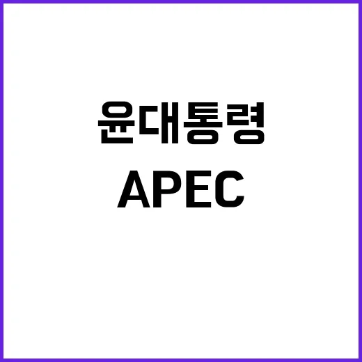 APEC AI 표준 윤 대통령의 혁신적 제안 공개!