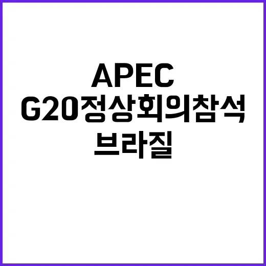 APEC 브라질 G20정상회의 참석의 중요성은 무엇인가?