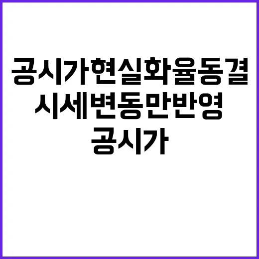 공시가 현실화율 동결 시세 변동만 반영!