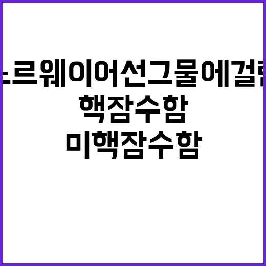 ‘미 핵잠수함’ 노르웨이 어선 그물에 걸린 이유?