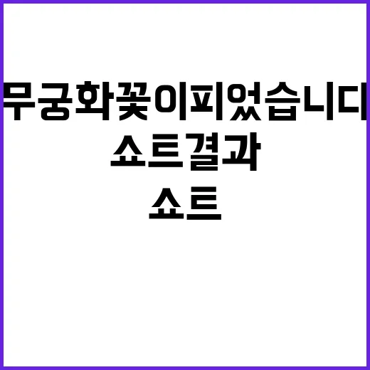 무궁화 꽃이 피었습니다…쇼트 결과에 대한 충격 과연?