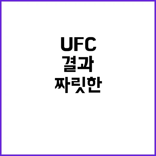 UFC 309 팬들…