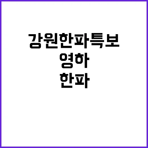 강원 한파특보…철원 영하6도 대비 필수!