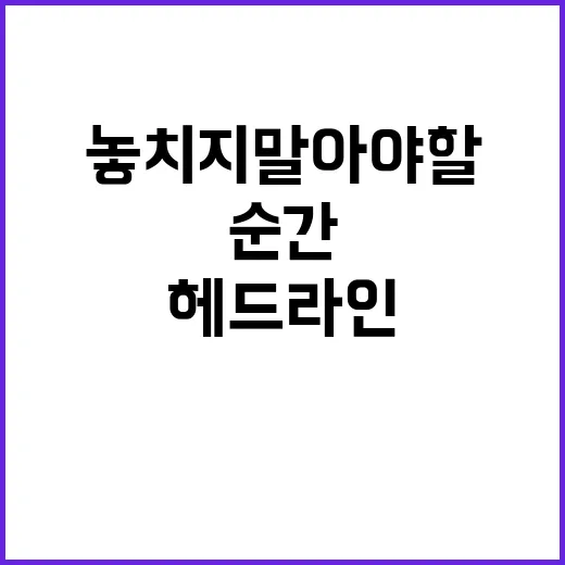 헤드라인 지금 이 순간 놓치지 말아야 할 뉴스!