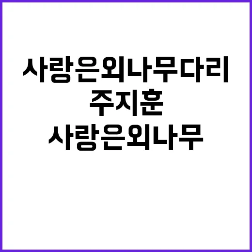 사랑은 외나무다리 …