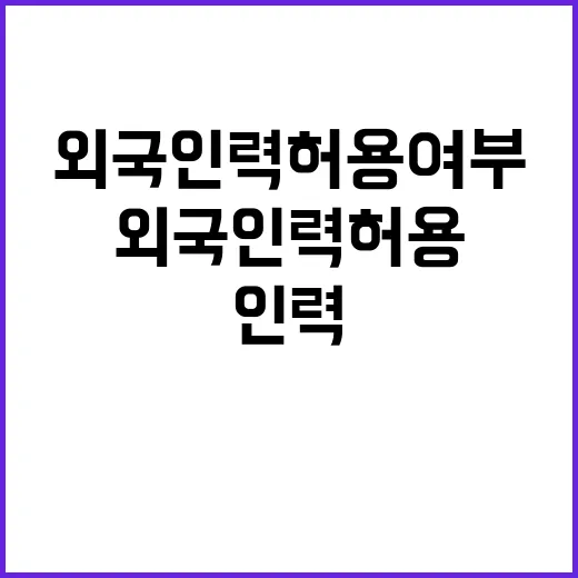 외국인력 허용 여부 고용부의 놀라운 발표!