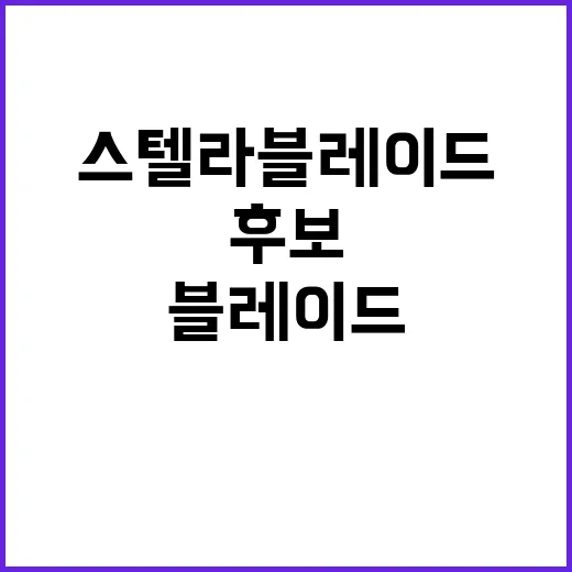 스텔라 블레이드 T…