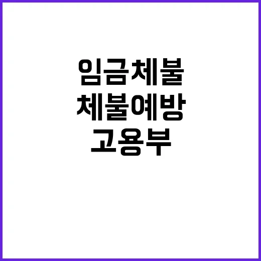 임금체불 예방 고용부의 확고한 약속 공개!