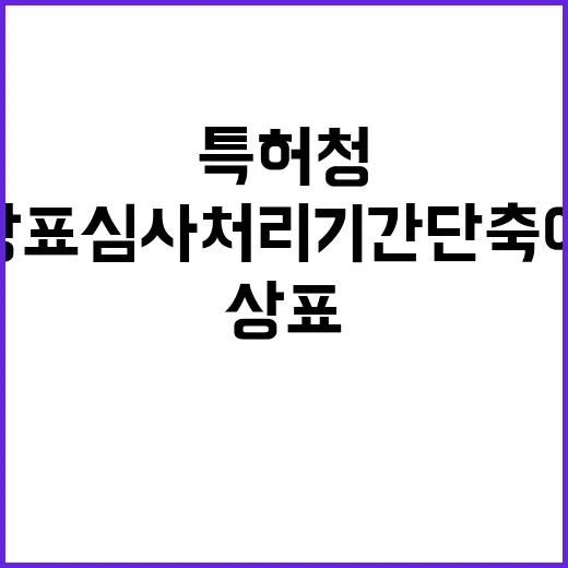 상표심사 처리기간 단축에 특허청 약속!