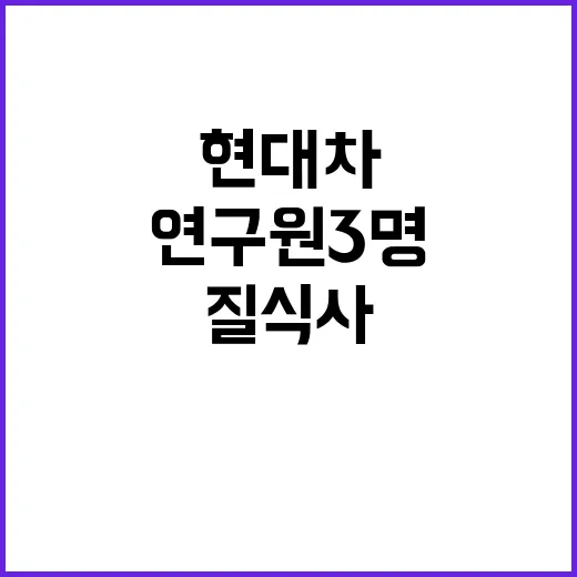 질식사 현대차 연구…