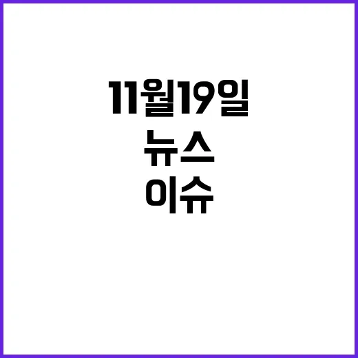 뉴스센터 11월 19일 가장 뜨거운 이슈들!