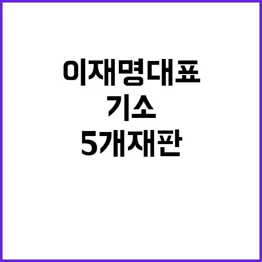 이재명 대표 6번째 기소와 5개 재판 발생!