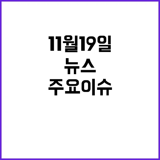 뉴스리뷰 11월 19일 주요 이슈와 트렌드 분석!