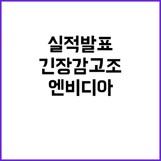 엔비디아 실적 발표…