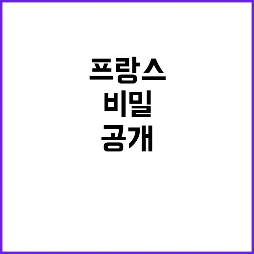 프랑스 나달의 비밀…