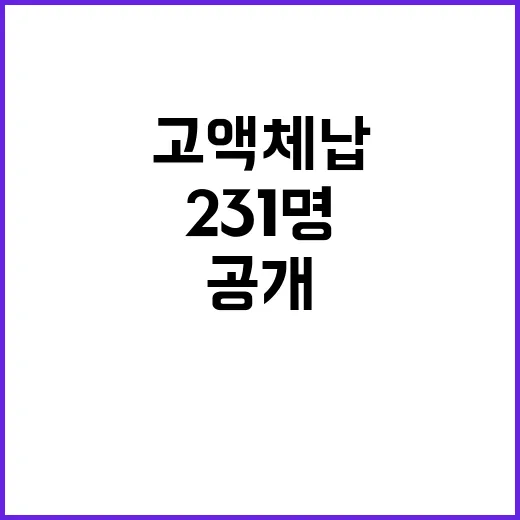 고액체납 231명 …