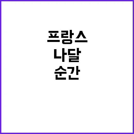 프랑스 나달의 역대…