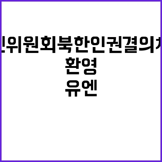 유엔위원회 북한 인…