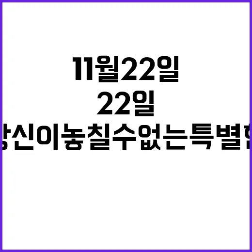 11월22일 당신이 놓칠 수 없는 특별한 소식!