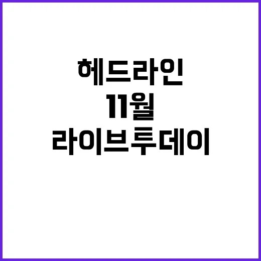 라이브투데이 11월…