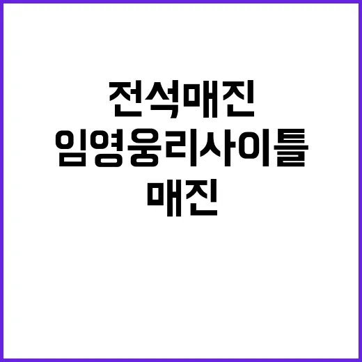 임영웅 리사이틀 초…