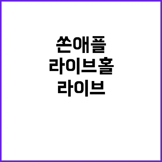 쏜애플 12월 라이브홀 공연 반드시 놓치지 마세요!