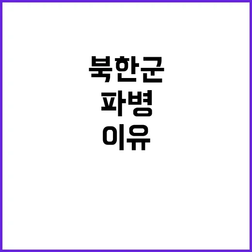 북한군 파병 정부 …