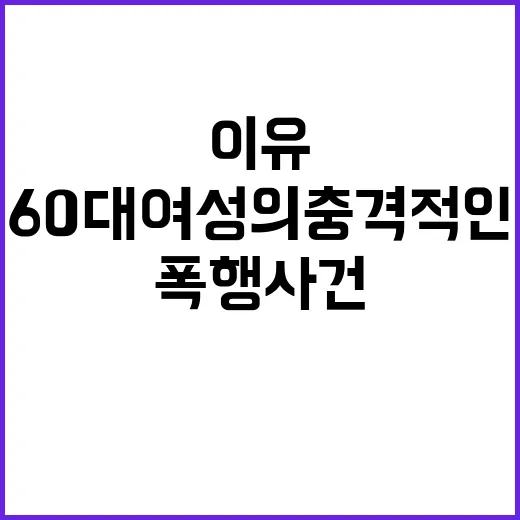 폭행 사건 60대 여성의 충격적인 이유는?