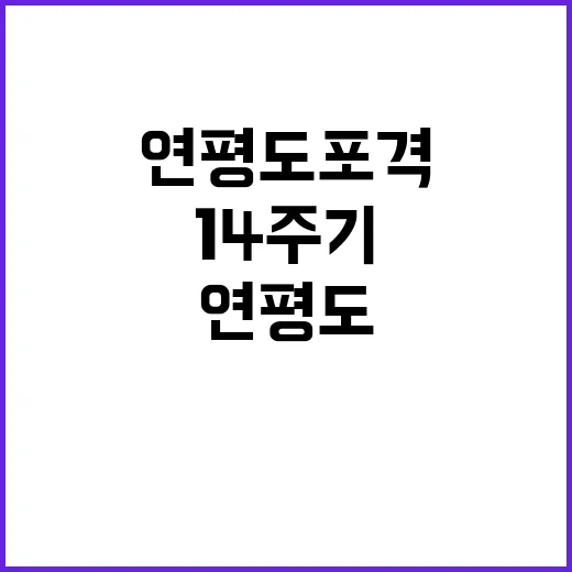 연평도 포격 14주기 여야의 추모 모습!