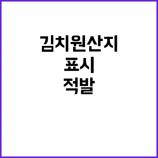 김치 원산지 허위표시 적발 125개 업체 충격!