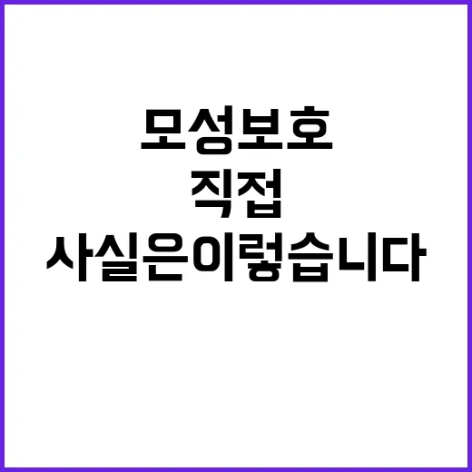 모성보호 고용부의 …