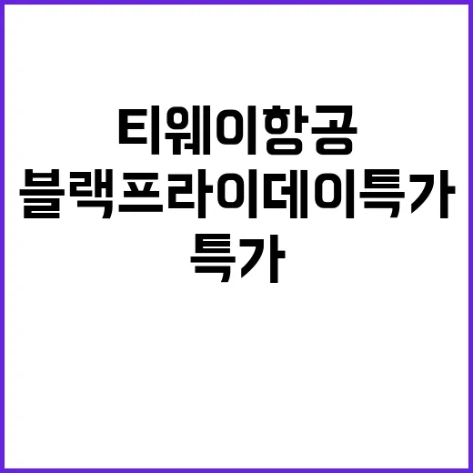 티웨이항공 블랙프라이데이 특가 놓치면 후회!